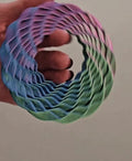 Twisty Fidget Shaker